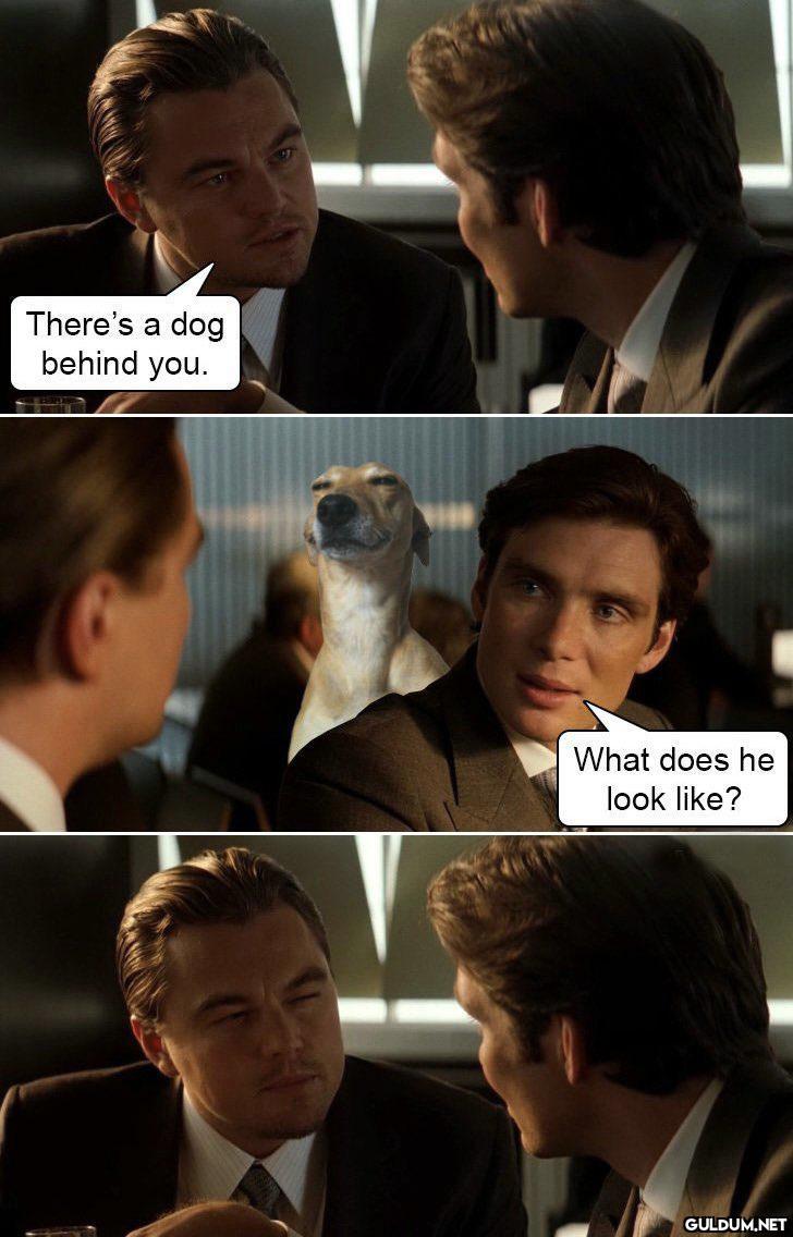 inception  ...