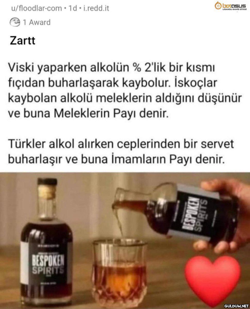 O betasuS u/floodlar-com...