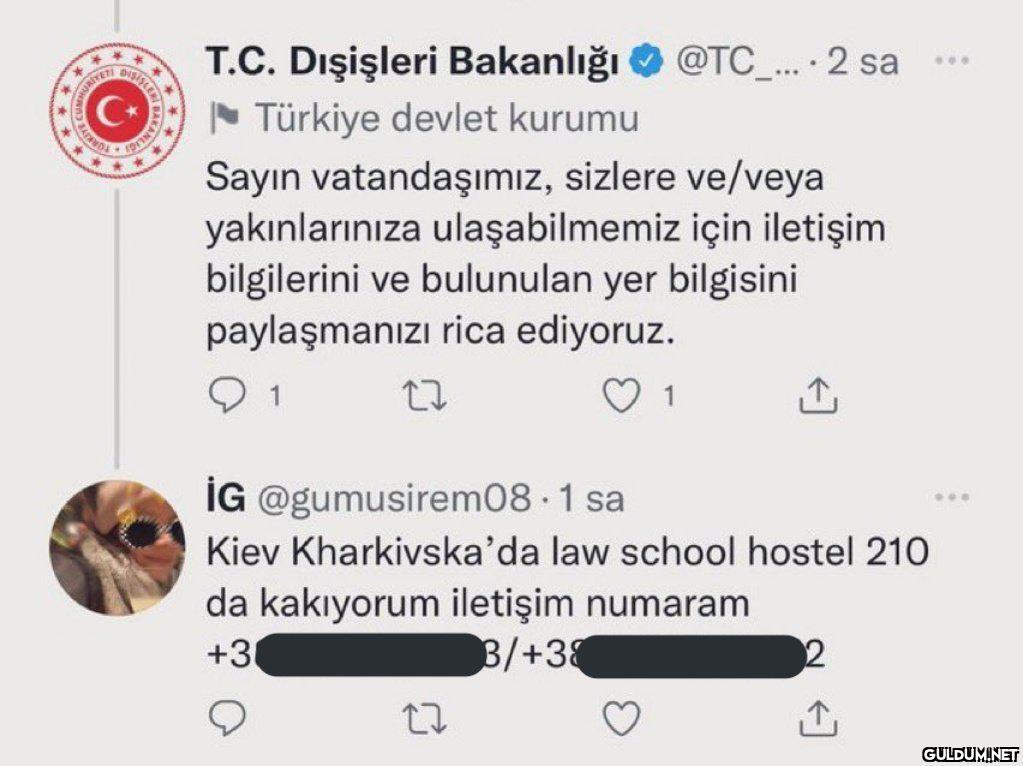Hayattaki şansım    G...