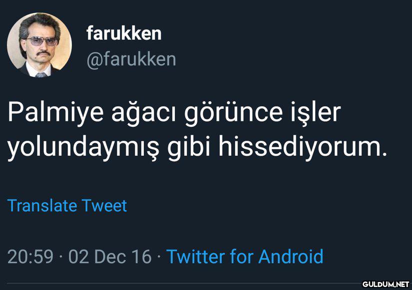 farukken @farukken Palmiye...