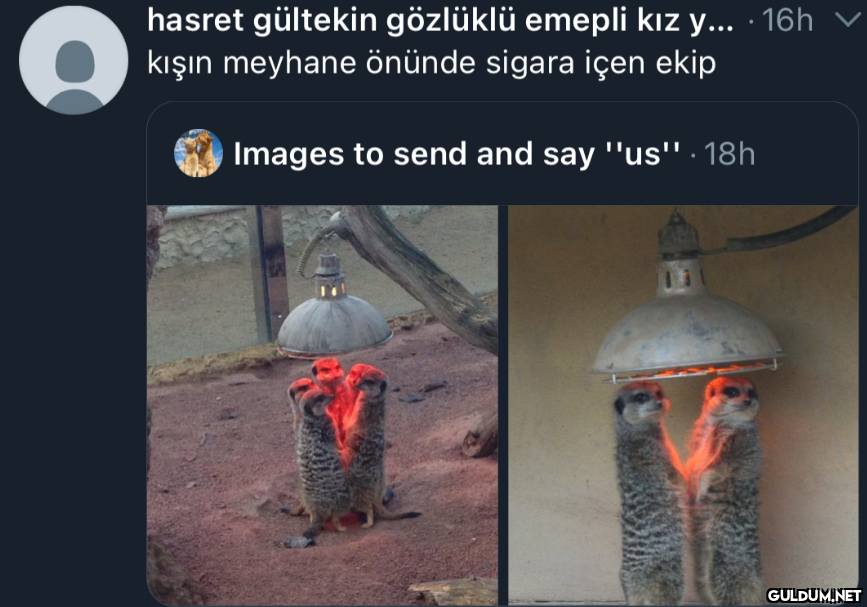 hasret gültekin gözlüklü...