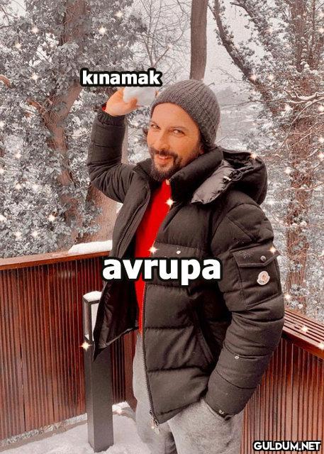kınamak avrupa    Kaynak