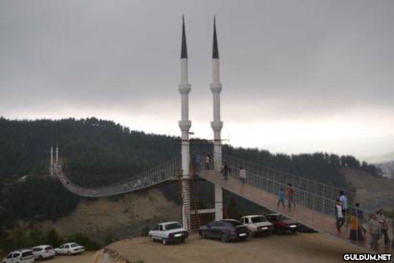 Kahramanmaraş Andırın asma...