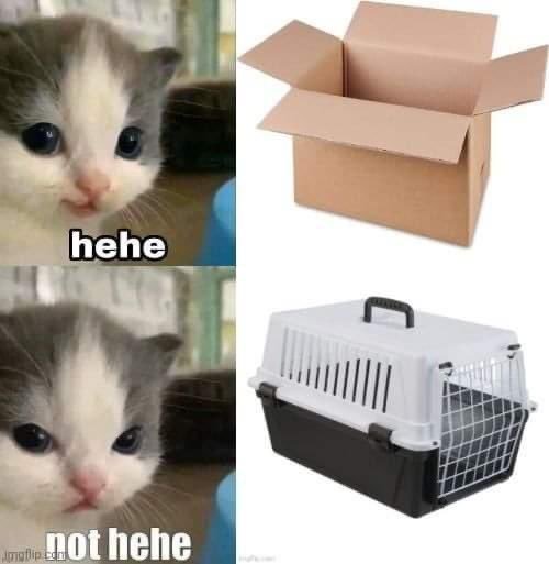 hehe not hehe    Kaynak
