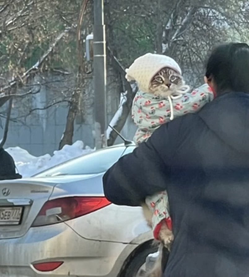 Sürpriz     SEBVIL    Kaynak
