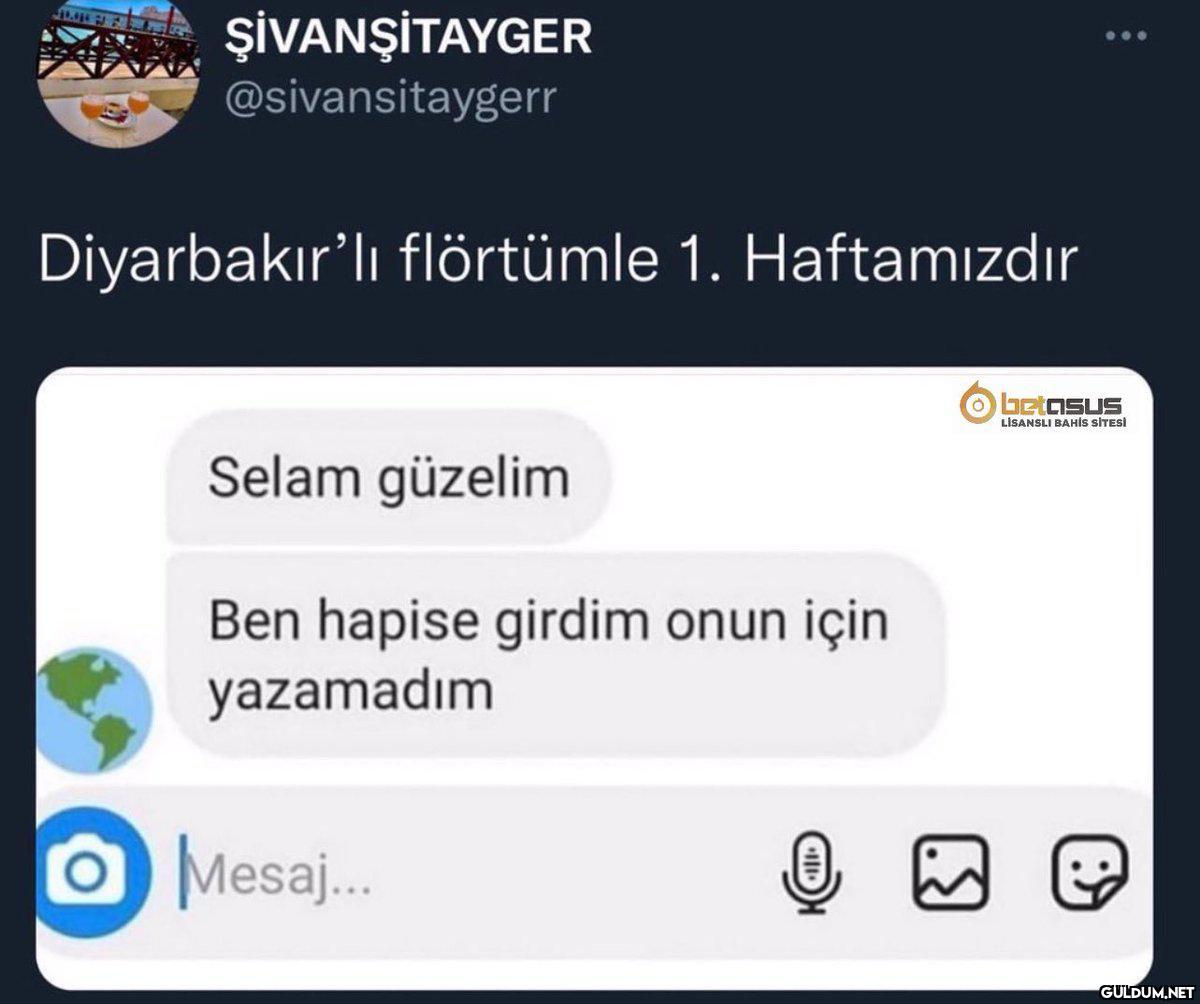 ŞİVANŞİTAYGER...