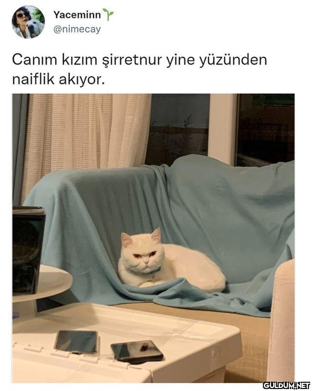 YaceminnY @nimecay Canım...