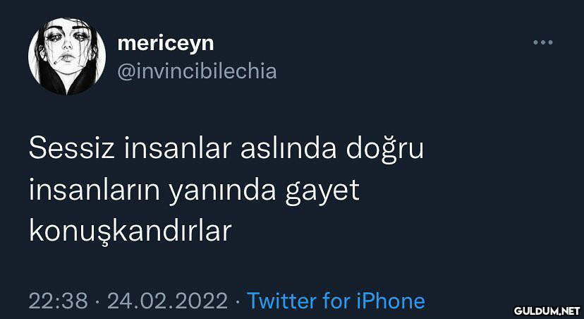 mericeyn @invincibilechia...