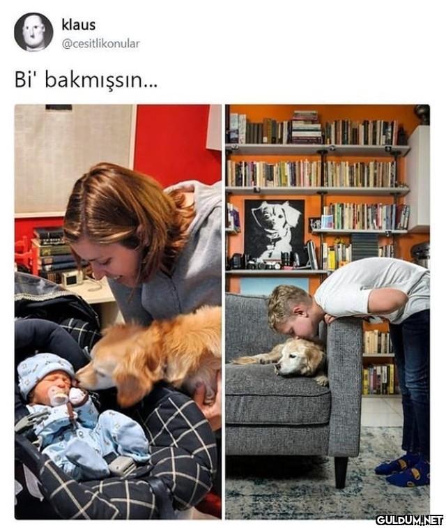 klaus @cesitlikonular Bi'...