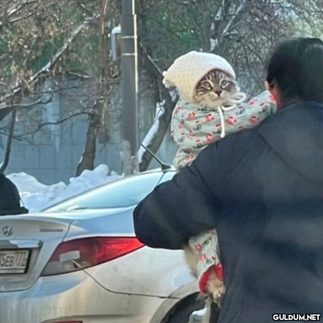 Ayakta Alkışladım...
