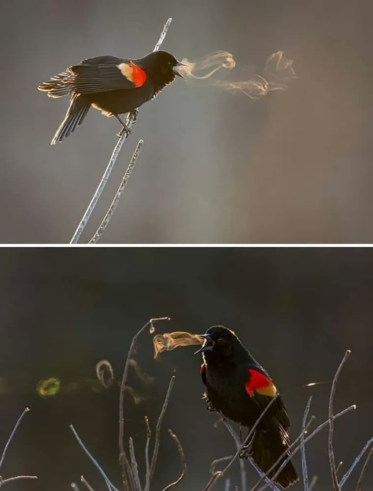📸 Sabahın erken soğuğundan...