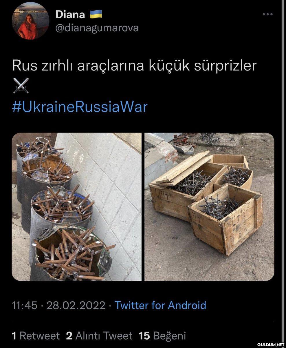 Ukrayna, Türk savaş...