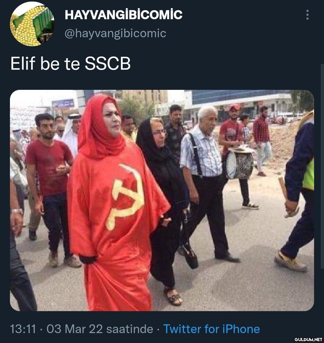 HAYVANGİBİCOMİC...
