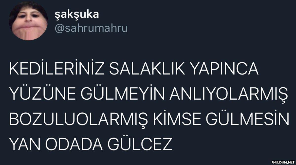 şakşuka @sahrumahru...