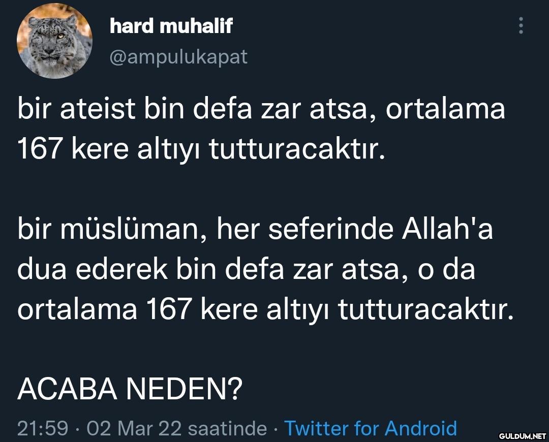hard muhalif @ampulukapat...