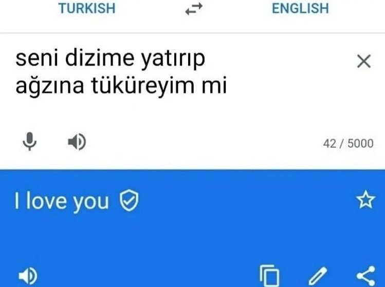 TURKISH ENGLISH seni...
