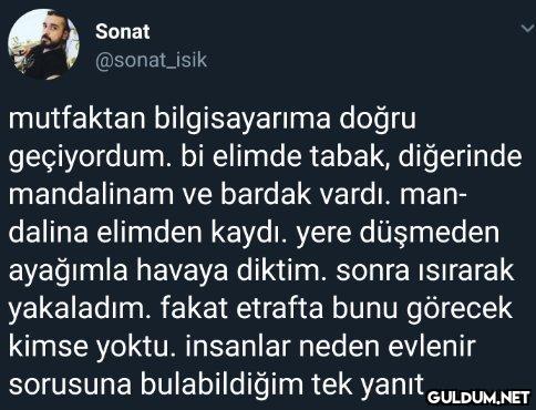 Sonat @sonat_isik...