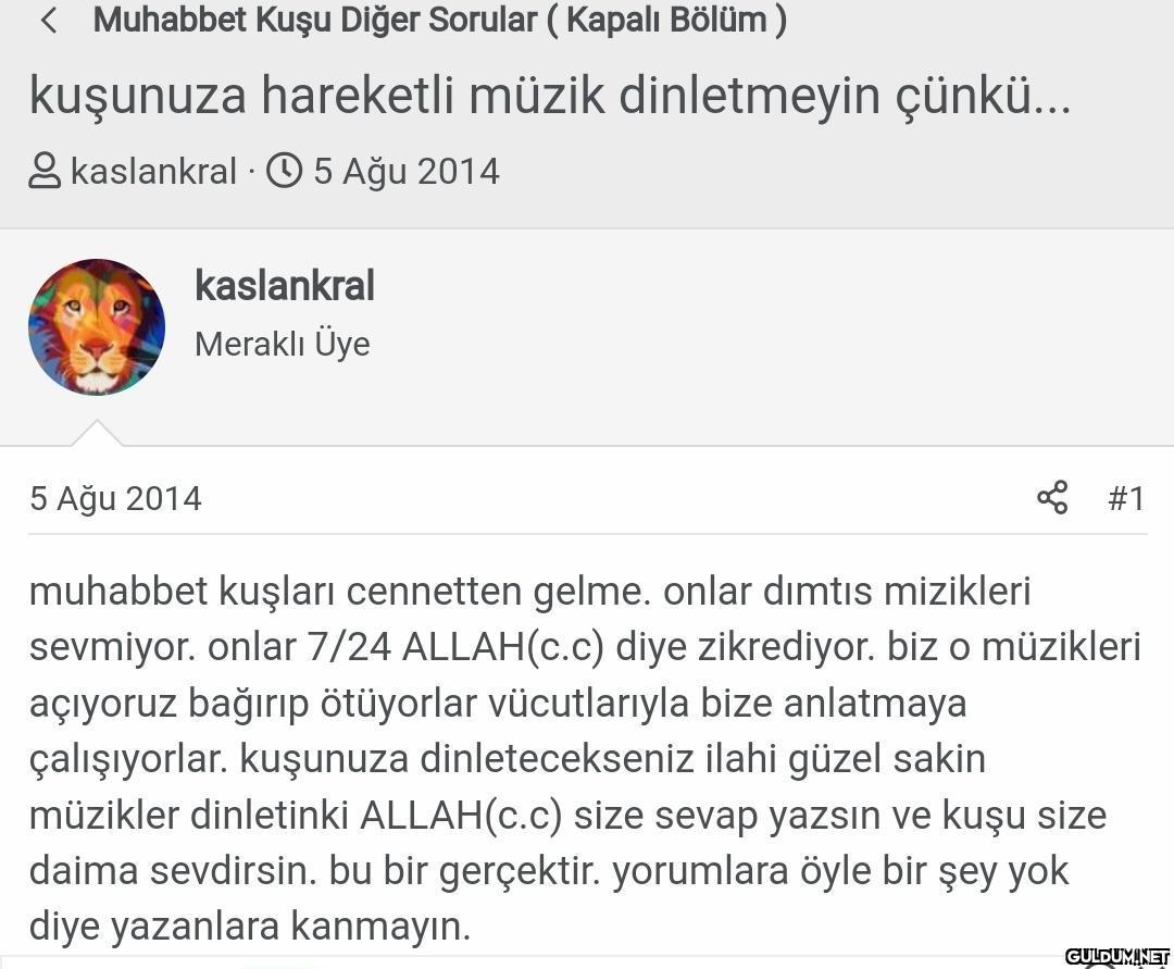 Kaynak