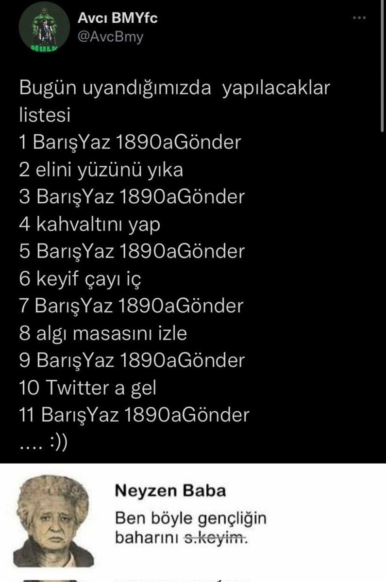 survivor tayfa...