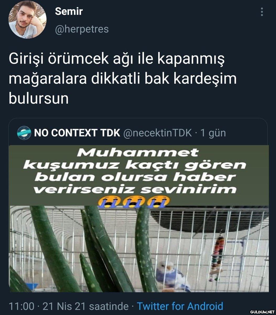 Semir @herpetres Girişi...