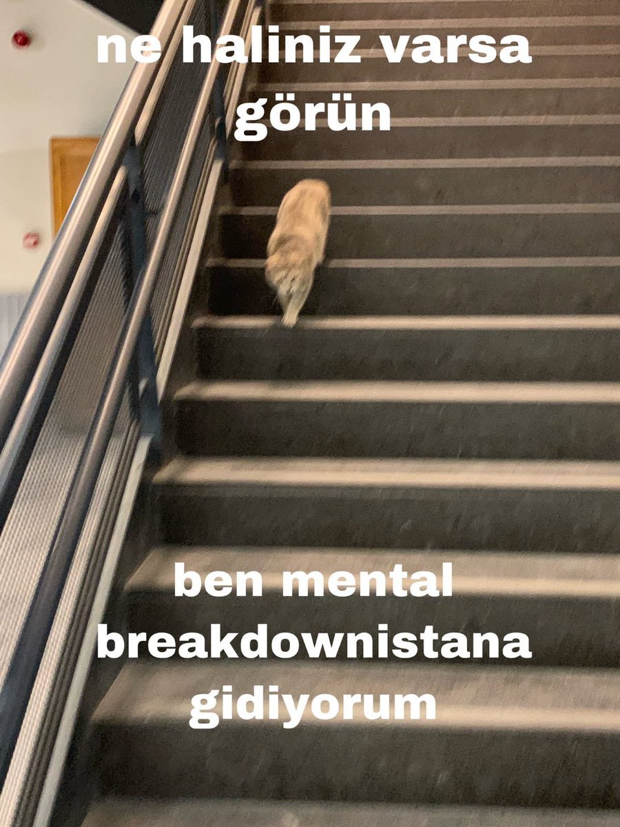 Hoşçakalın...