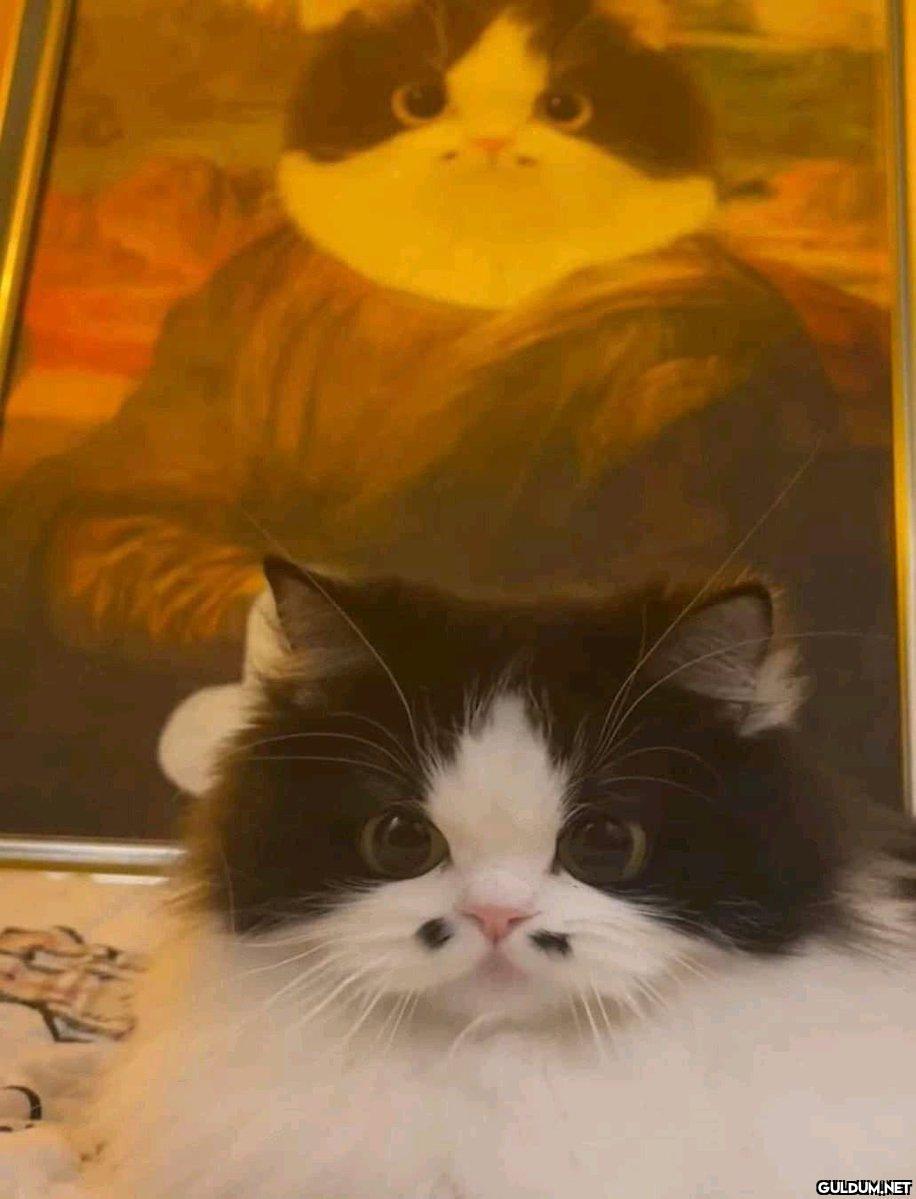 Güzelliğinden komalık...