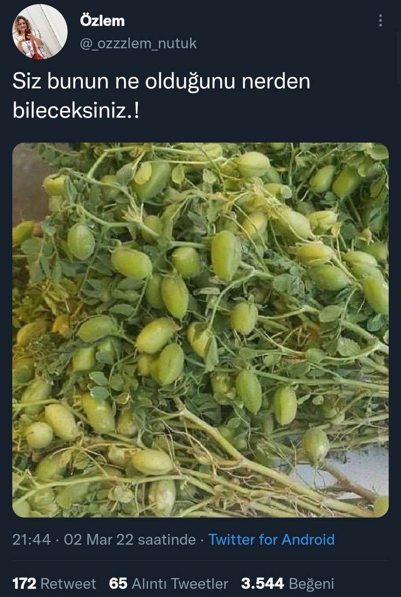 niye bilmiyelim aw avakado...