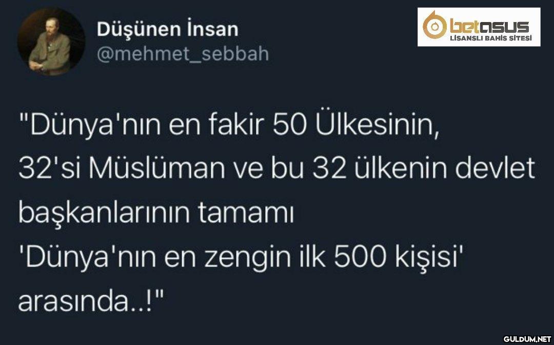 Düşünen İnsan...