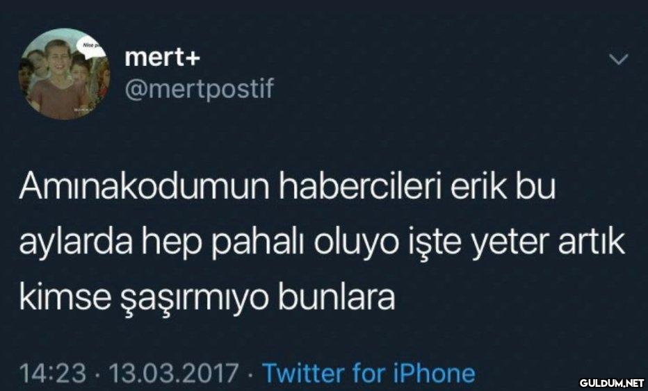 mert+ @mertpostif...
