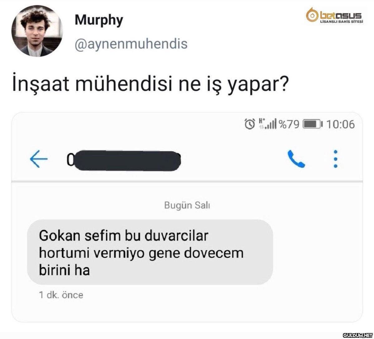 betasus Murphy LİSANSLI...