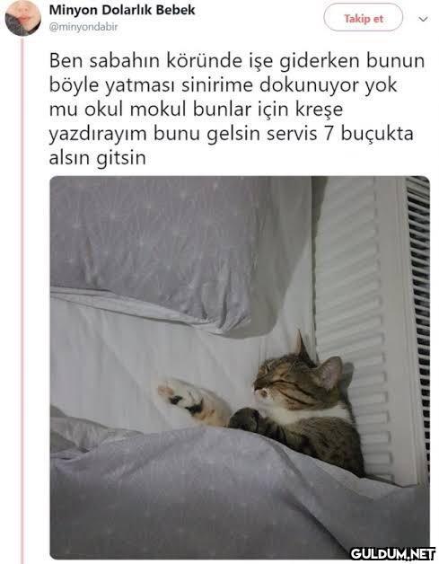 https://t.co/n0P04E4UVT ...