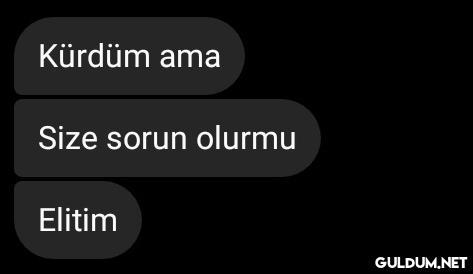 Kürdüm ava çıkmış...