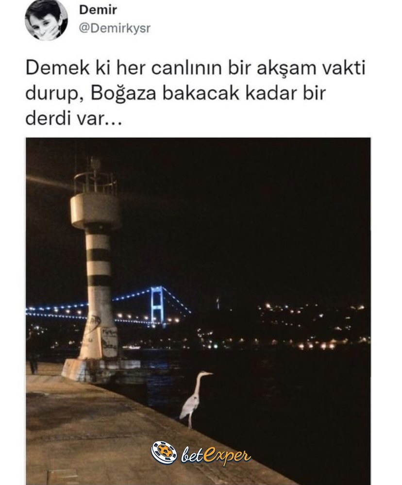 TC sınırlarında sıradan...
