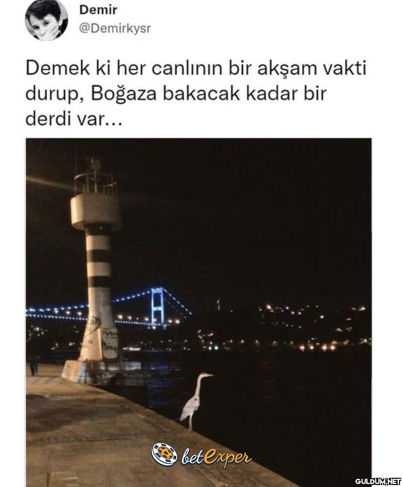 TC sınırlarında sıradan...