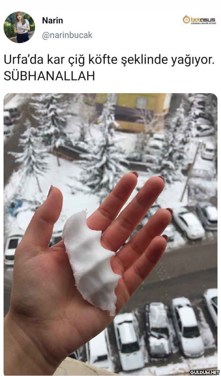 Narin betosus LISANSLI...