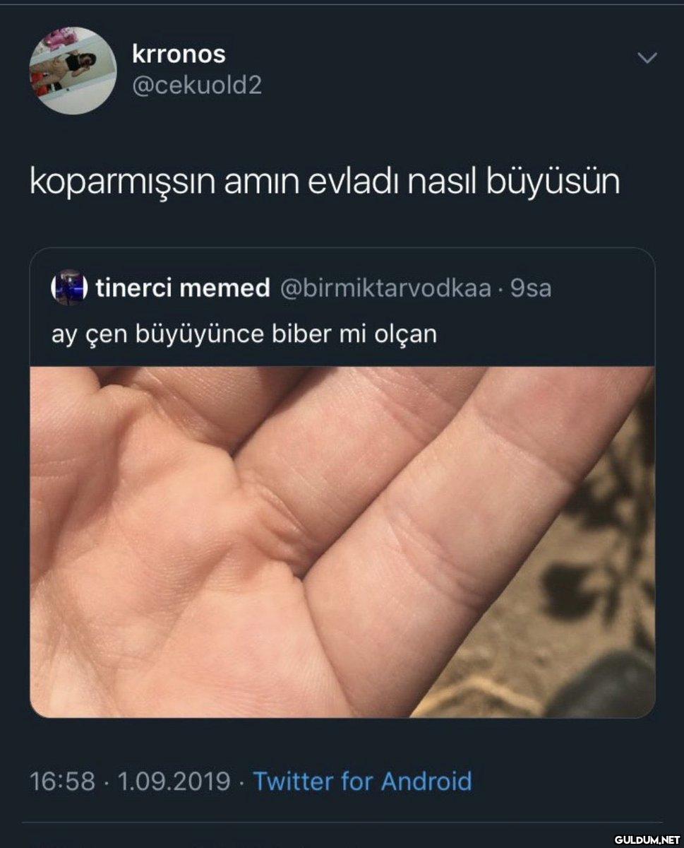https://t.co/NkKrgsOBm9 ...