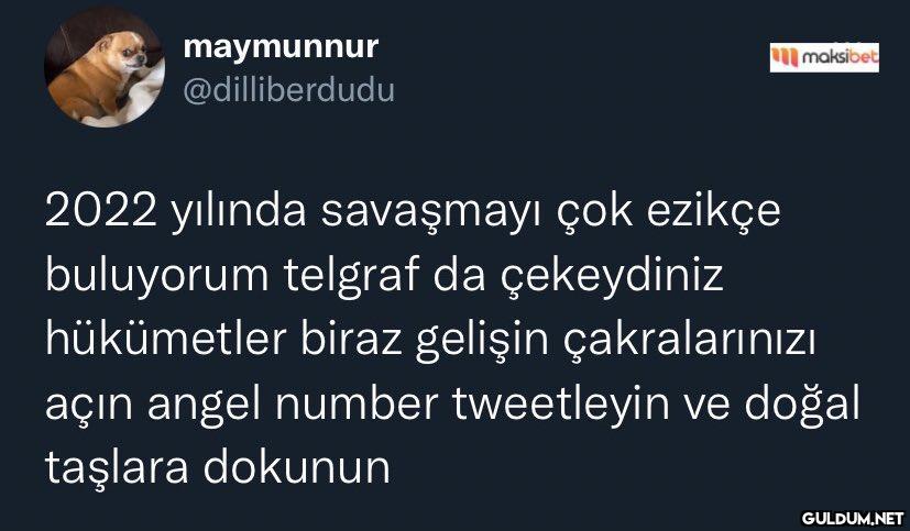 Putin’i angel number...