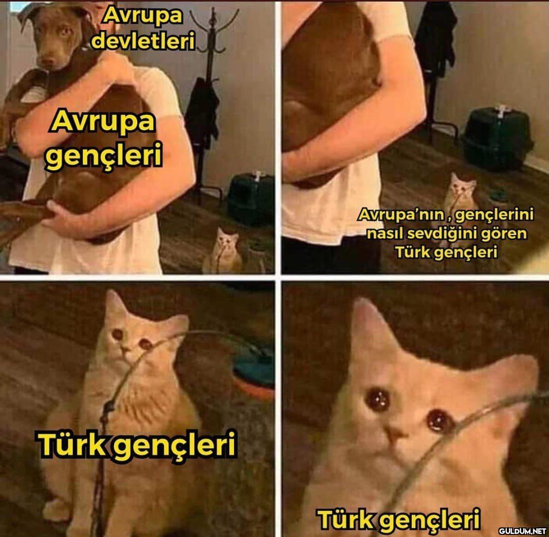 Avrupa devletleri Avrupa...