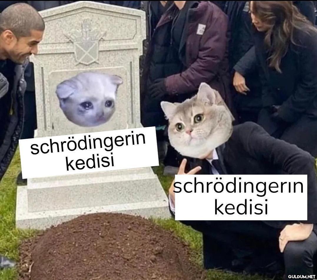 Kendimi Schrödinger'in...