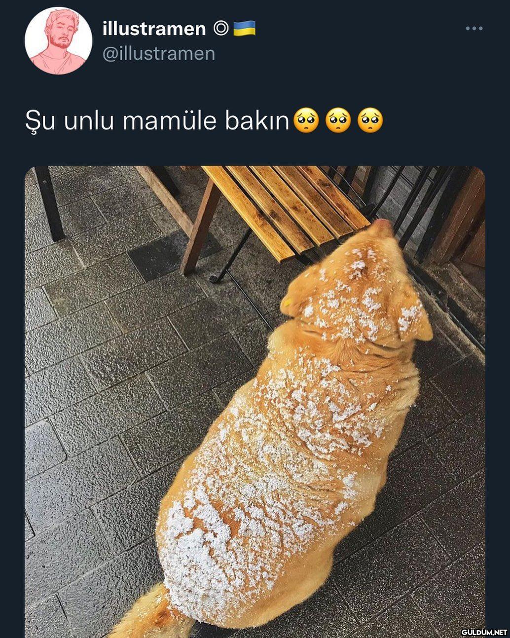 pudra şekerli kurabiye  Kaynak