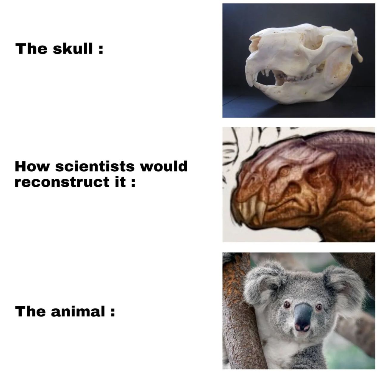 Kaynak