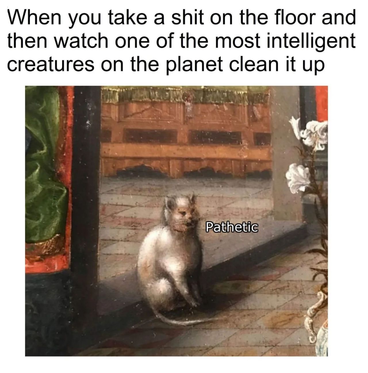 Kaynak