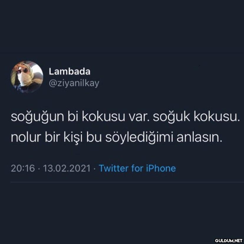 Kaynak