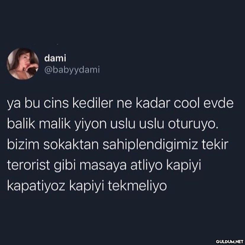 Kaynak