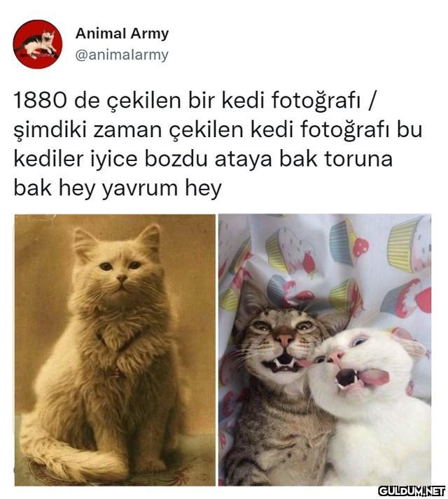 Kaynak