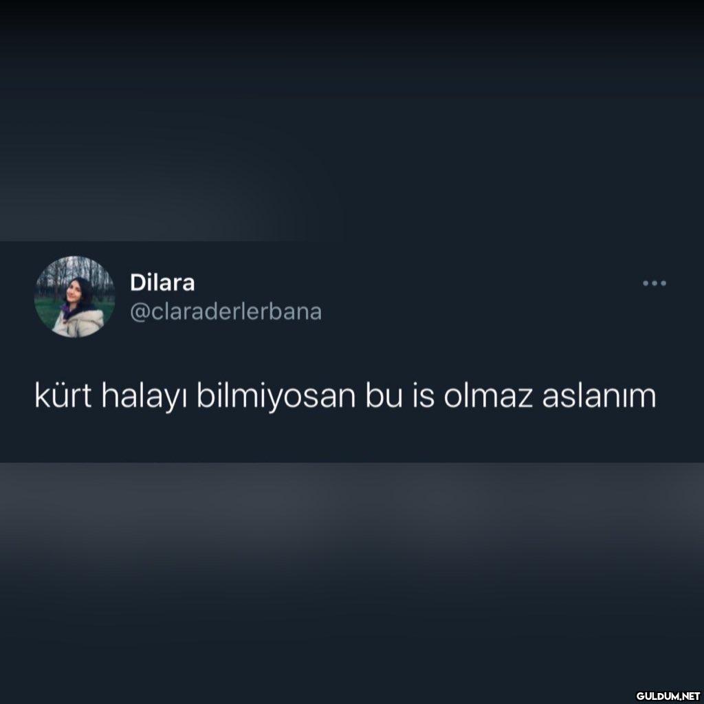 Kaynak
