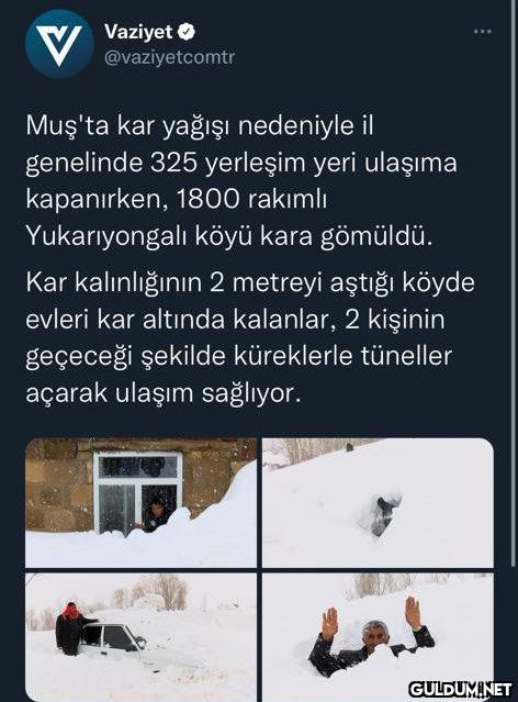 Muş kara teslim oldu🤣🤣🤣...