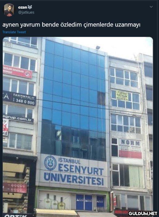 https://t.co/xRzbJczXkX  Kaynak