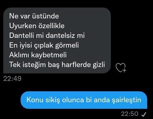 tc erkeğinin sanat...