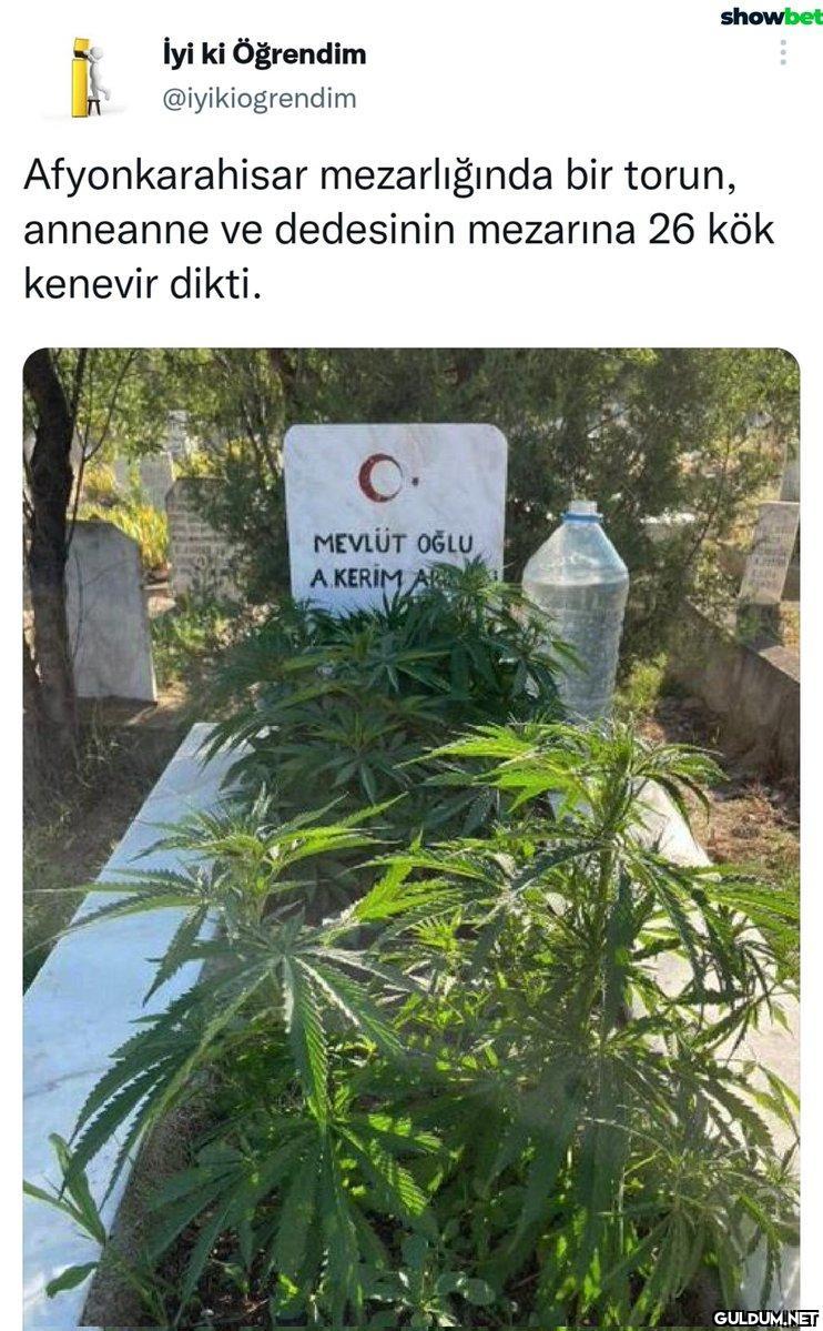 Hayırlı torun...